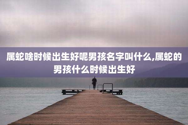 属蛇啥时候出生好呢男孩名字叫什么,属蛇的男孩什么时候出生好