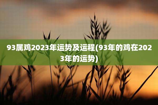 93属鸡2023年运势及运程(93年的鸡在2023年的运势)