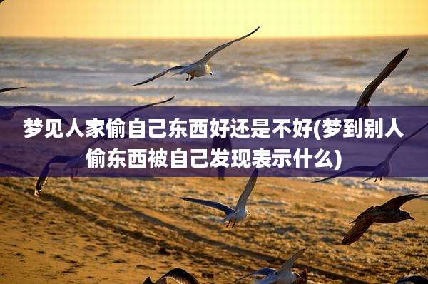 梦见人家偷自己东西好还是不好(梦到别人偷东西被自己发现表示什么)
