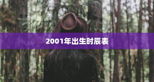 2001年出生时辰表