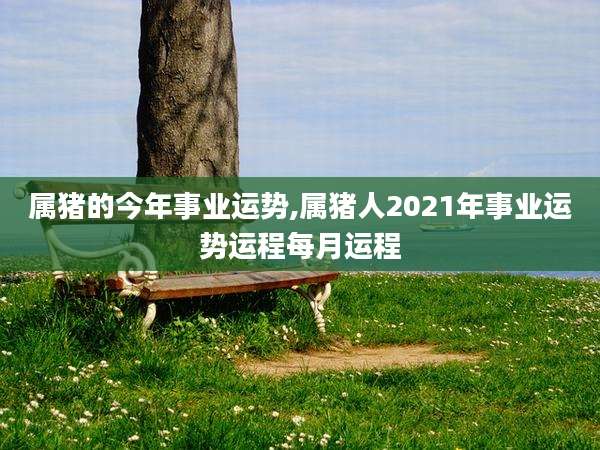 属猪的今年事业运势,属猪人2021年事业运势运程每月运程
