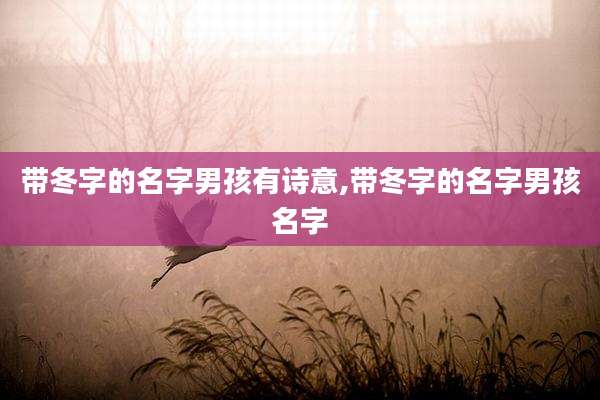 带冬字的名字男孩有诗意,带冬字的名字男孩名字