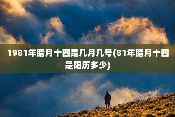 1981年腊月十四是几月几号(81年腊月十四是阳历多少)