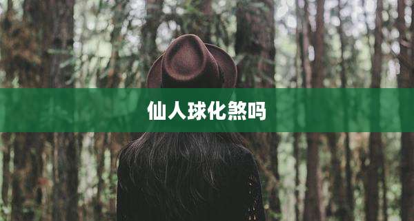 仙人球化煞吗