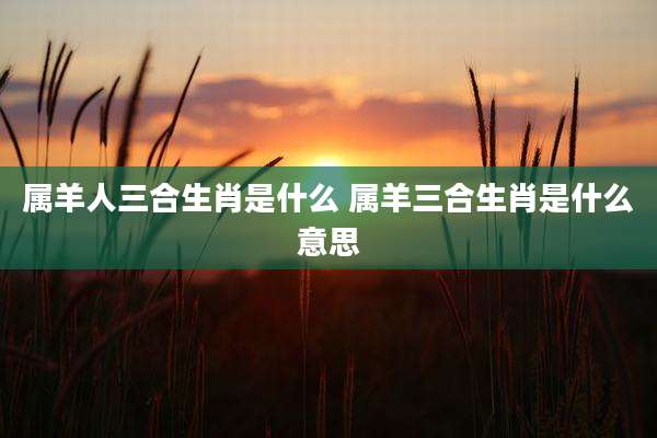 属羊人三合生肖是什么 属羊三合生肖是什么意思