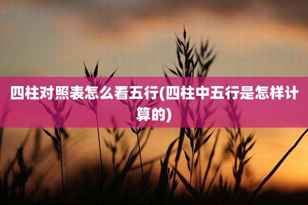 四柱对照表怎么看五行(四柱中五行是怎样计算的)