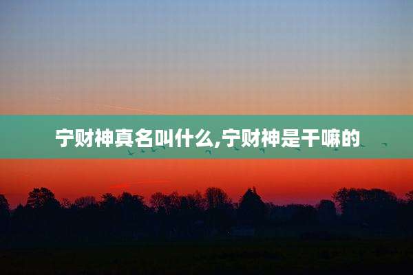 宁财神真名叫什么,宁财神是干嘛的