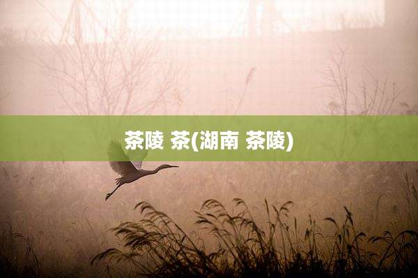 茶陵 茶(湖南 茶陵)