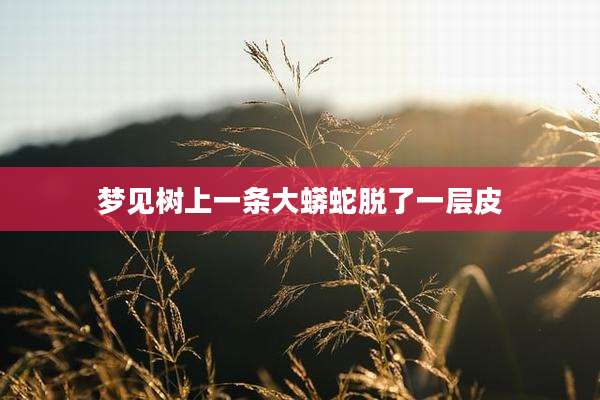 梦见树上一条大蟒蛇脱了一层皮