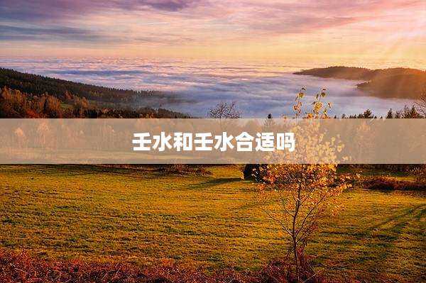 壬水和壬水合适吗