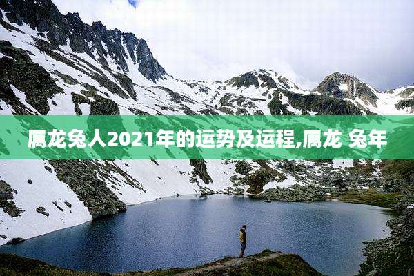 属龙兔人2021年的运势及运程,属龙 兔年