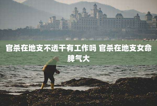 官杀在地支不透干有工作吗 官杀在地支女命脾气大