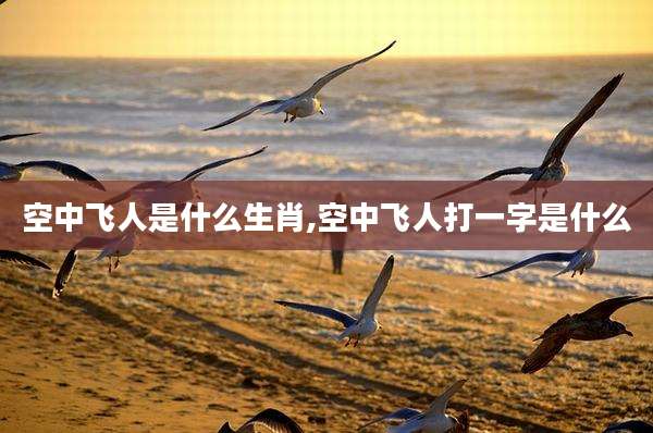 空中飞人是什么生肖,空中飞人打一字是什么