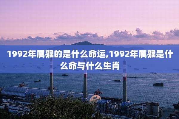 1992年属猴的是什么命运,1992年属猴是什么命与什么生肖