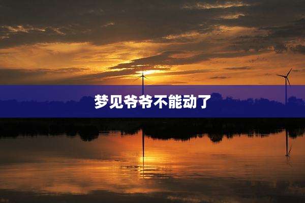 梦见爷爷不能动了