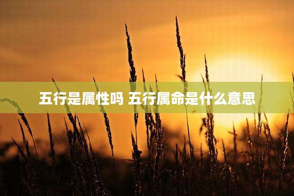 五行是属性吗 五行属命是什么意思