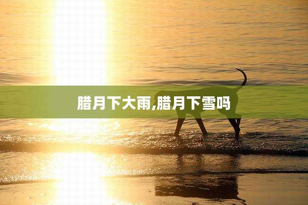 腊月下大雨,腊月下雪吗
