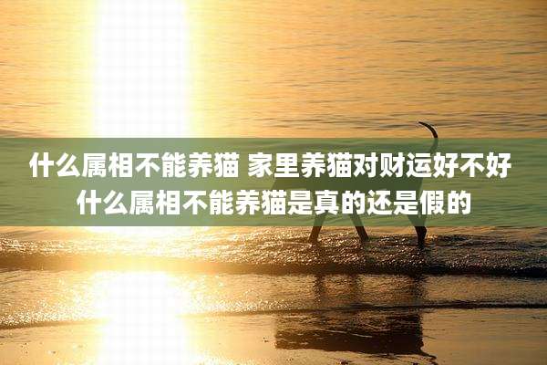 什么属相不能养猫 家里养猫对财运好不好 什么属相不能养猫是真的还是假的