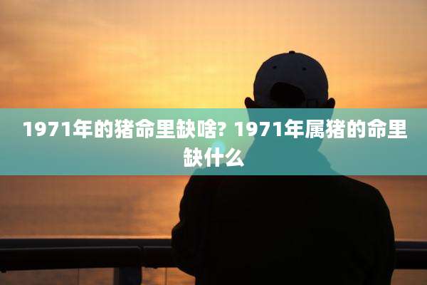 1971年的猪命里缺啥? 1971年属猪的命里缺什么