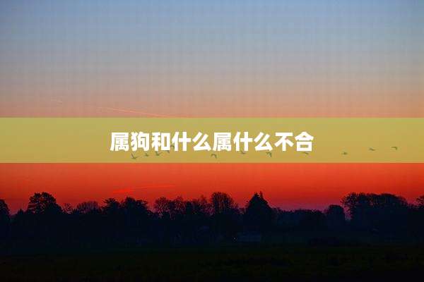 属狗和什么属什么不合