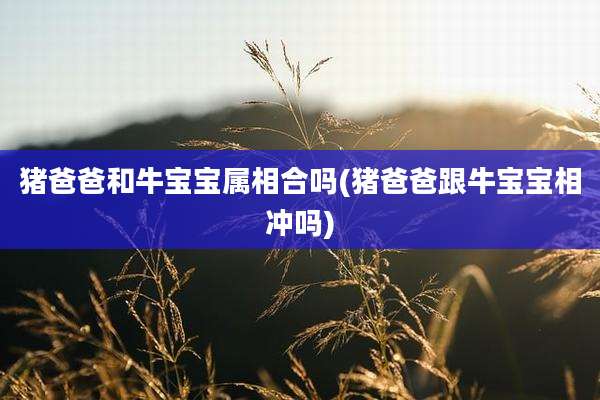猪爸爸和牛宝宝属相合吗(猪爸爸跟牛宝宝相冲吗)