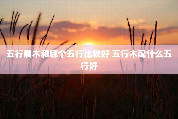 五行属木和哪个五行比较好 五行木配什么五行好