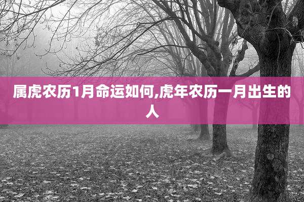 属虎农历1月命运如何,虎年农历一月出生的人