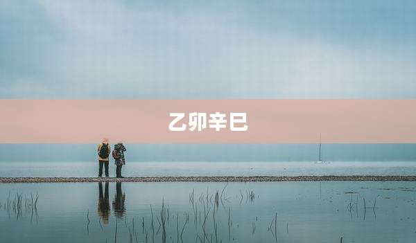 乙卯辛巳
