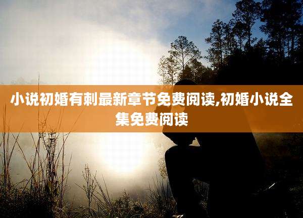 小说初婚有刺最新章节免费阅读,初婚小说全集免费阅读