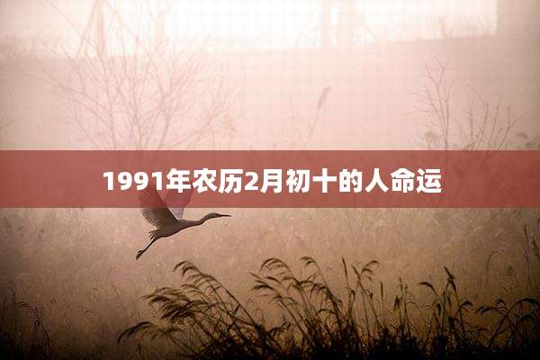 1991年农历2月初十的人命运