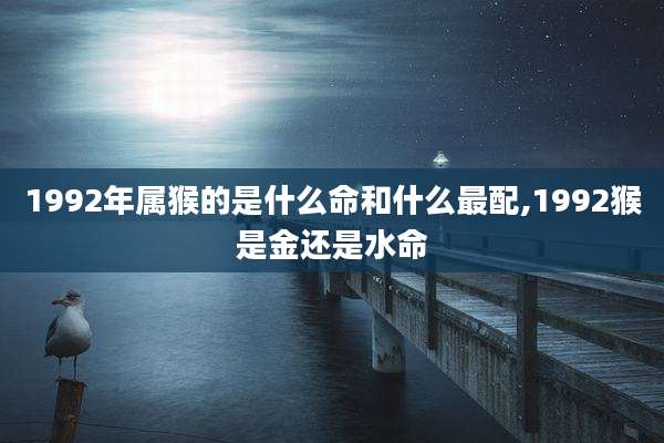 1992年属猴的是什么命和什么最配,1992猴是金还是水命