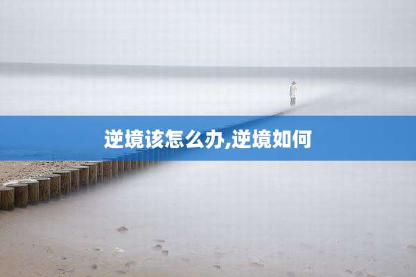 逆境该怎么办,逆境如何