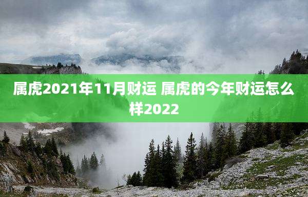 属虎2021年11月财运 属虎的今年财运怎么样2022