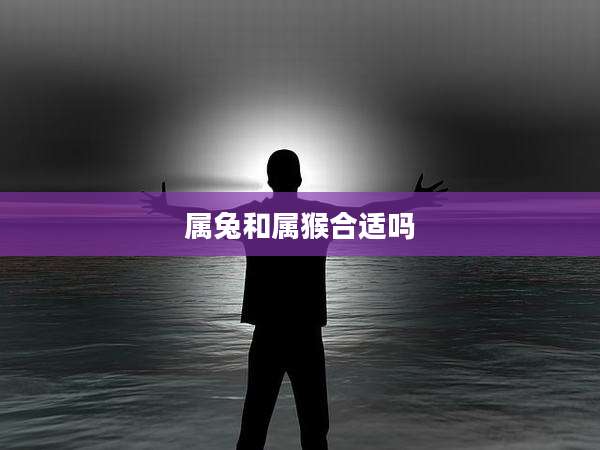 属兔和属猴合适吗