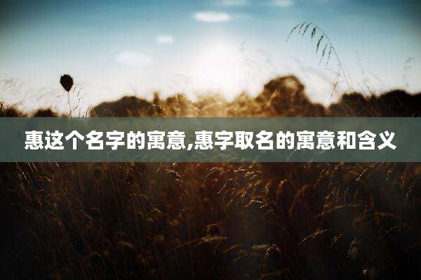 惠这个名字的寓意,惠字取名的寓意和含义