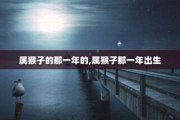 属猴子的那一年的,属猴子那一年出生