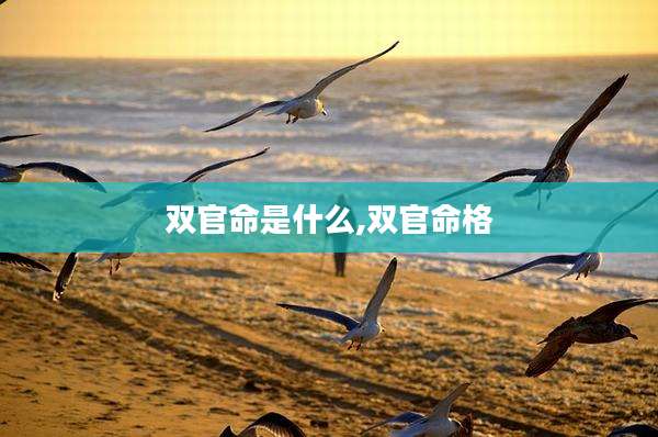 双官命是什么,双官命格