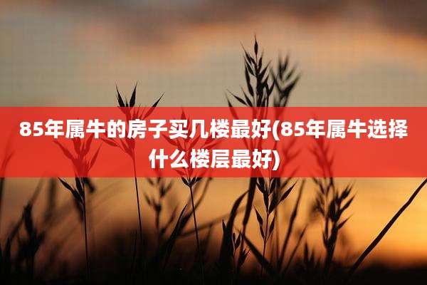 85年属牛的房子买几楼最好(85年属牛选择什么楼层最好)
