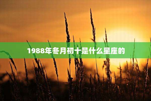 1988年冬月初十是什么星座的