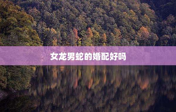 女龙男蛇的婚配好吗