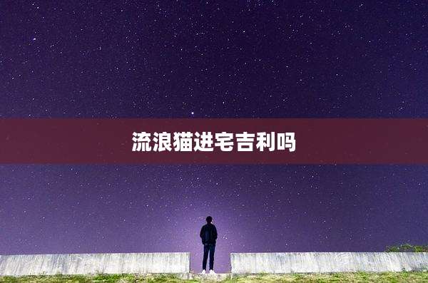 流浪猫进宅吉利吗