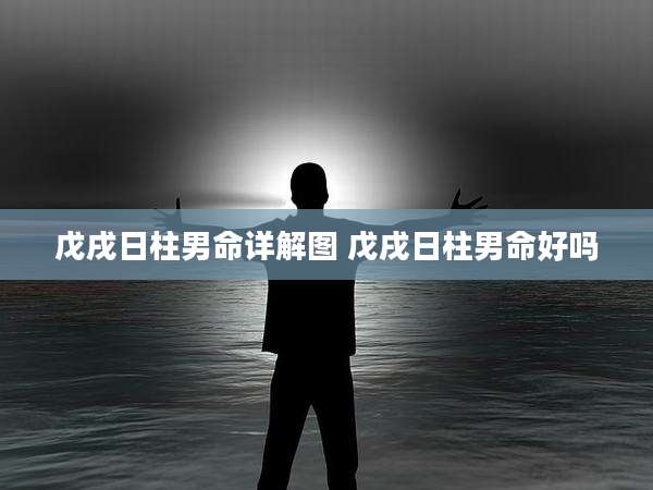 戊戌日柱男命详解图 戊戌日柱男命好吗