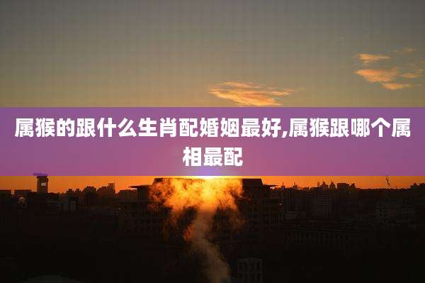 属猴的跟什么生肖配婚姻最好,属猴跟哪个属相最配