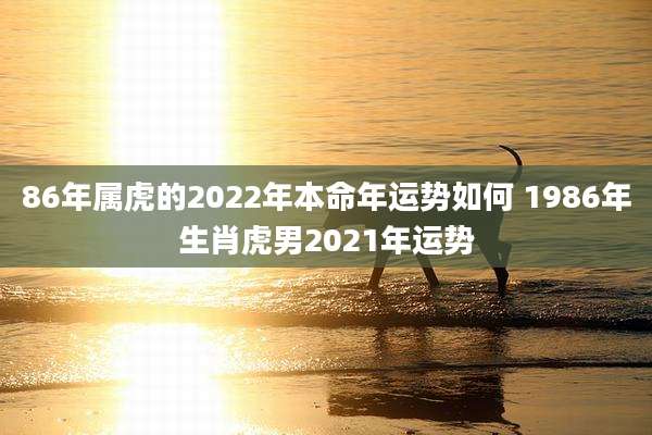 86年属虎的2022年本命年运势如何 1986年生肖虎男2021年运势
