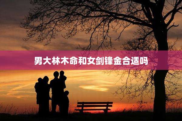 男大林木命和女剑锋金合适吗