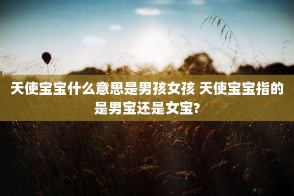 天使宝宝什么意思是男孩女孩 天使宝宝指的是男宝还是女宝?