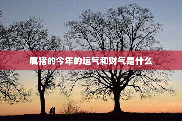 属猪的今年的运气和财气是什么