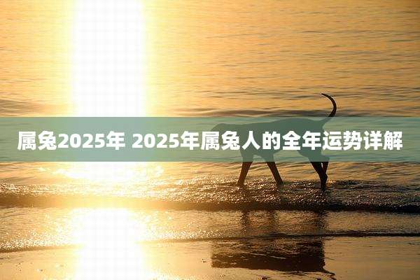 属兔2025年 2025年属兔人的全年运势详解