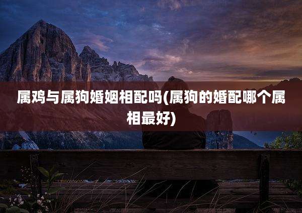 属鸡与属狗婚姻相配吗(属狗的婚配哪个属相最好)