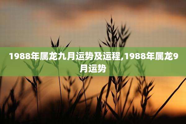 1988年属龙九月运势及运程,1988年属龙9月运势